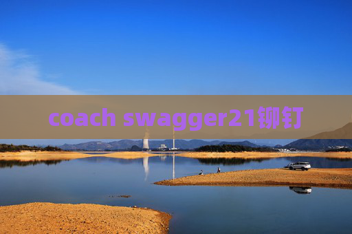 coach swagger21铆钉